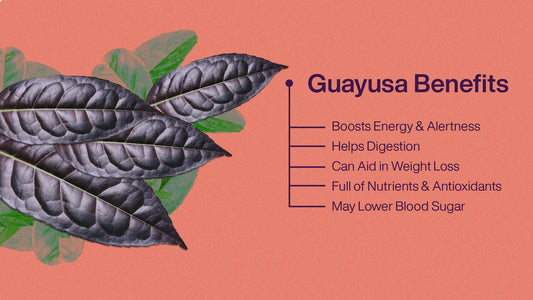 Is Guayusa the New Matcha? What You Need to Know