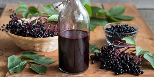 How Elderberry Tea Compares to Elderberry Syrup