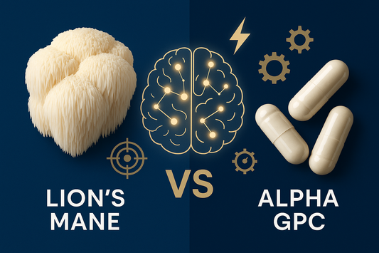 Lion’s Mane vs. Alpha GPC: Which Is Best for Focus?