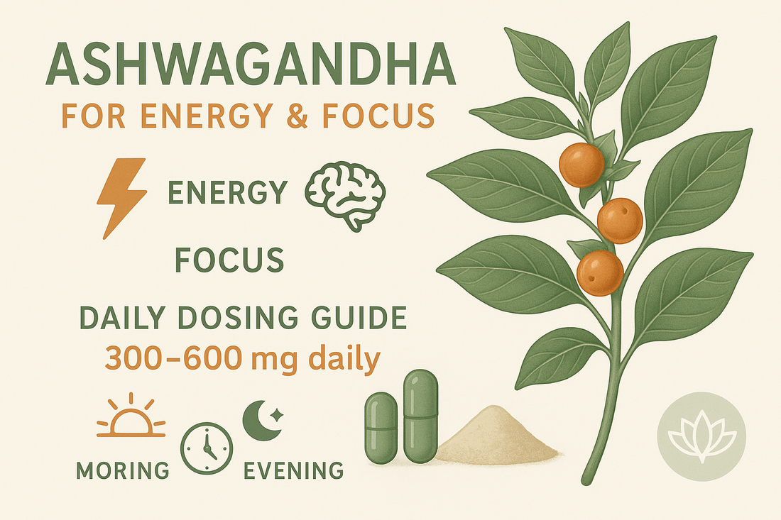 Ashwagandha for Energy and Focus: Daily Dosing Guide