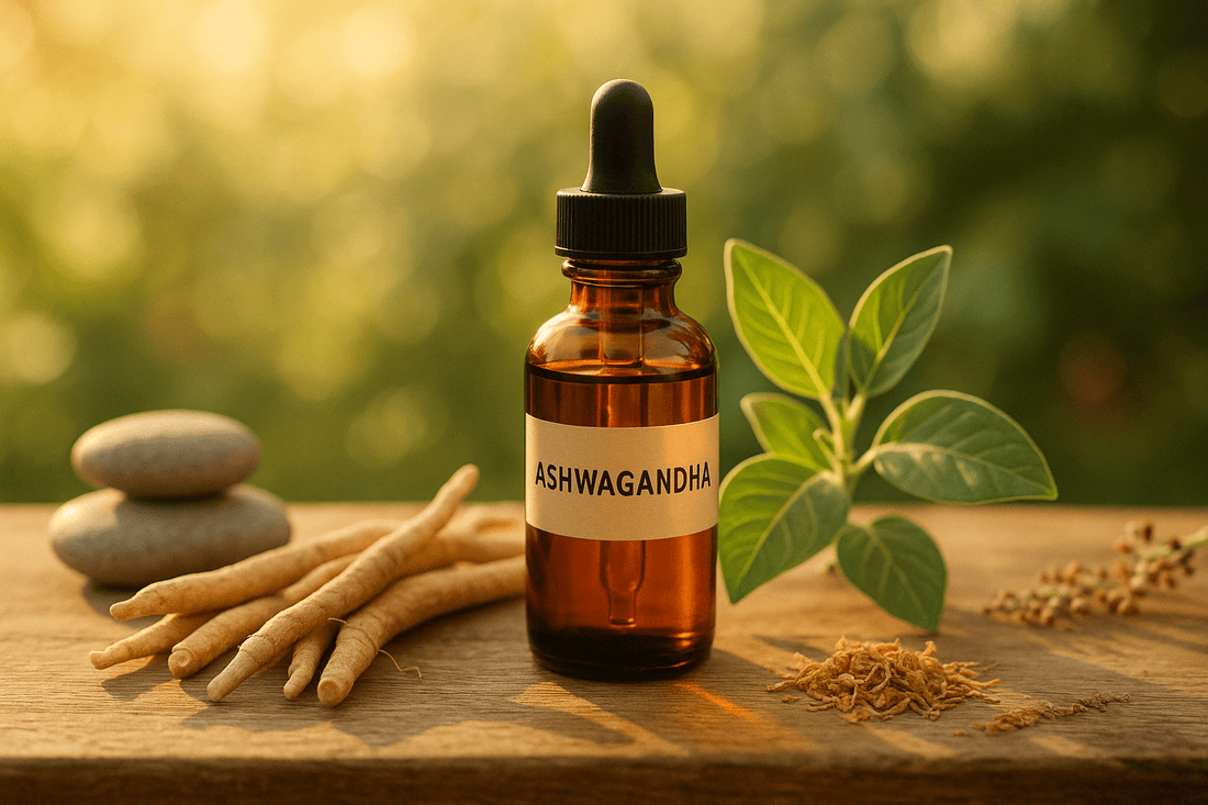 Ashwagandha Tincture for Anxiety: A Natural Solution to Modern Stress