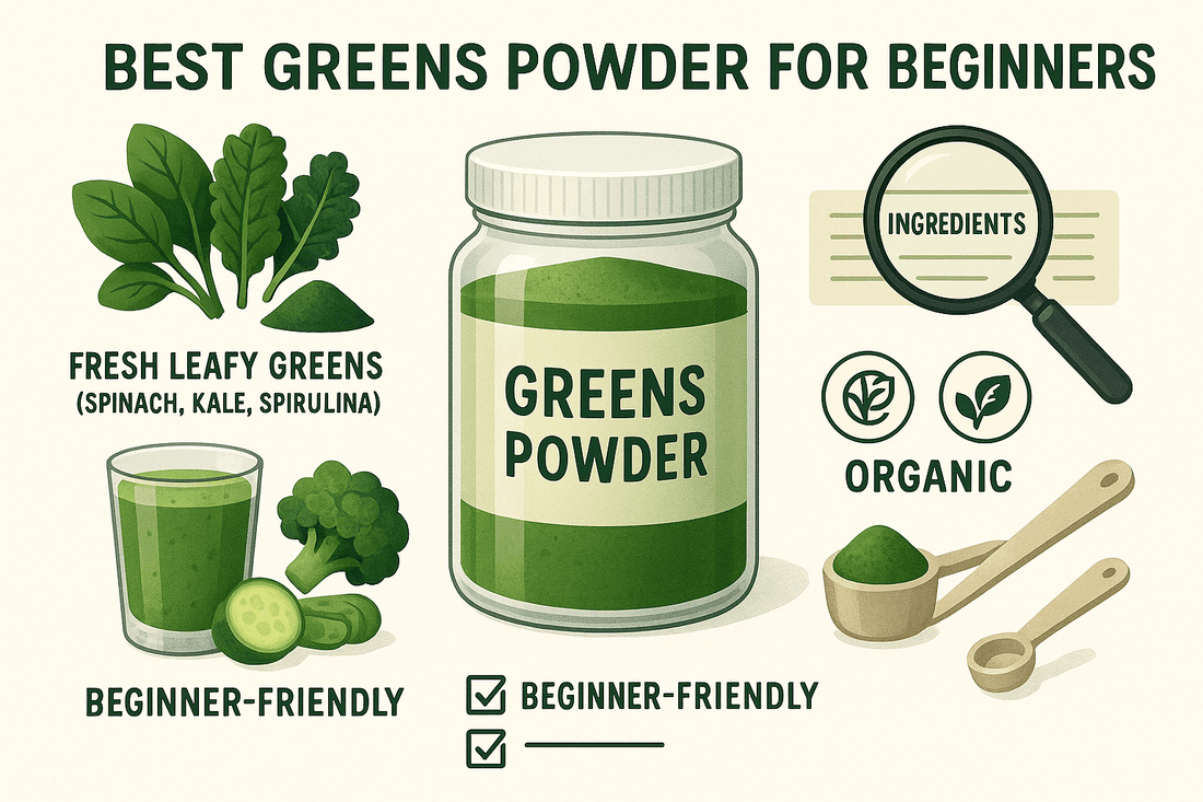 Best Greens Powder for Beginners: What to Look For