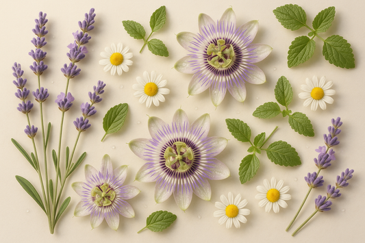 Botanical Solutions for Anxiety: Nature’s Way to Restore Balance