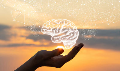 Supporting Cognitive Health with a Brain and Memory Tonic Tincture