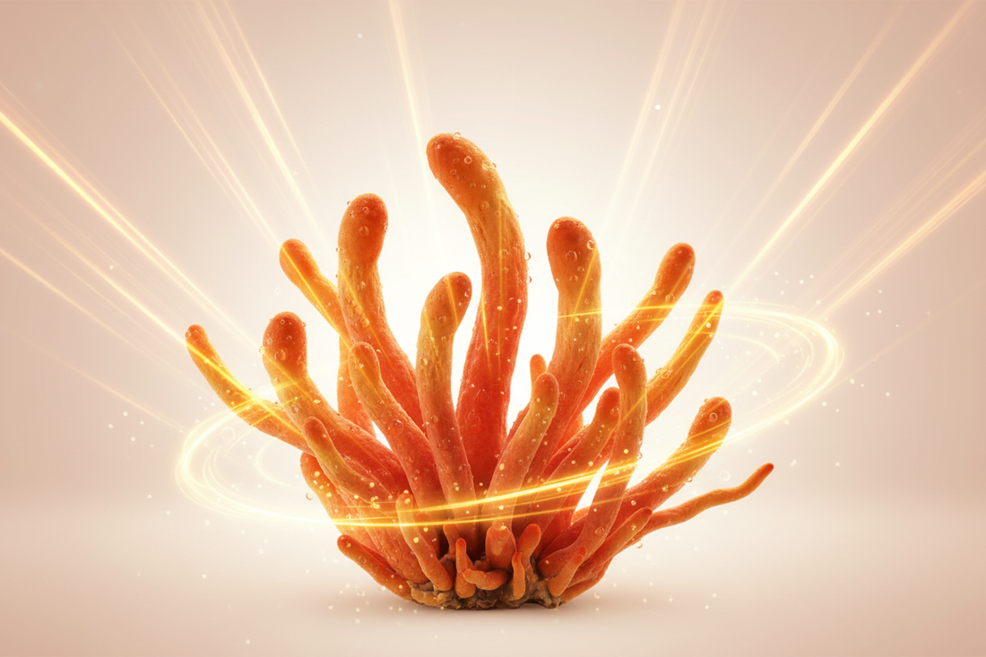Cordyceps for Clean Energy: How This Mushroom Supports Stamina Without the Crash