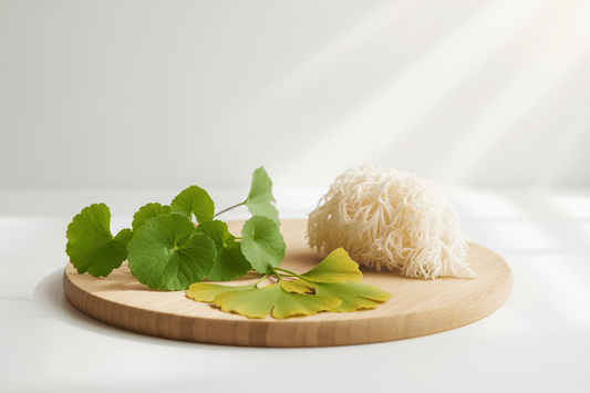 Focus & Clarity: How Herbs Like Gotu Kola, Ginkgo & Lion’s Mane Support Cognitive Wellness