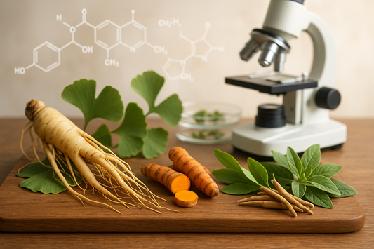 Herbs for Longevity: What Modern Science Is Learning from Ancient Wisdom