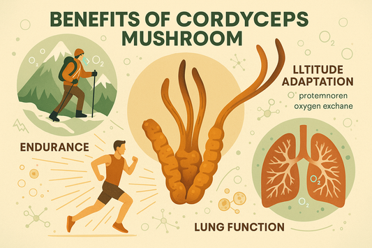 How Cordyceps Helps with Altitude, Endurance & Lung Function