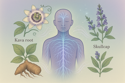 How Kava, Passionflower, and Skullcap Calm the Nervous System
