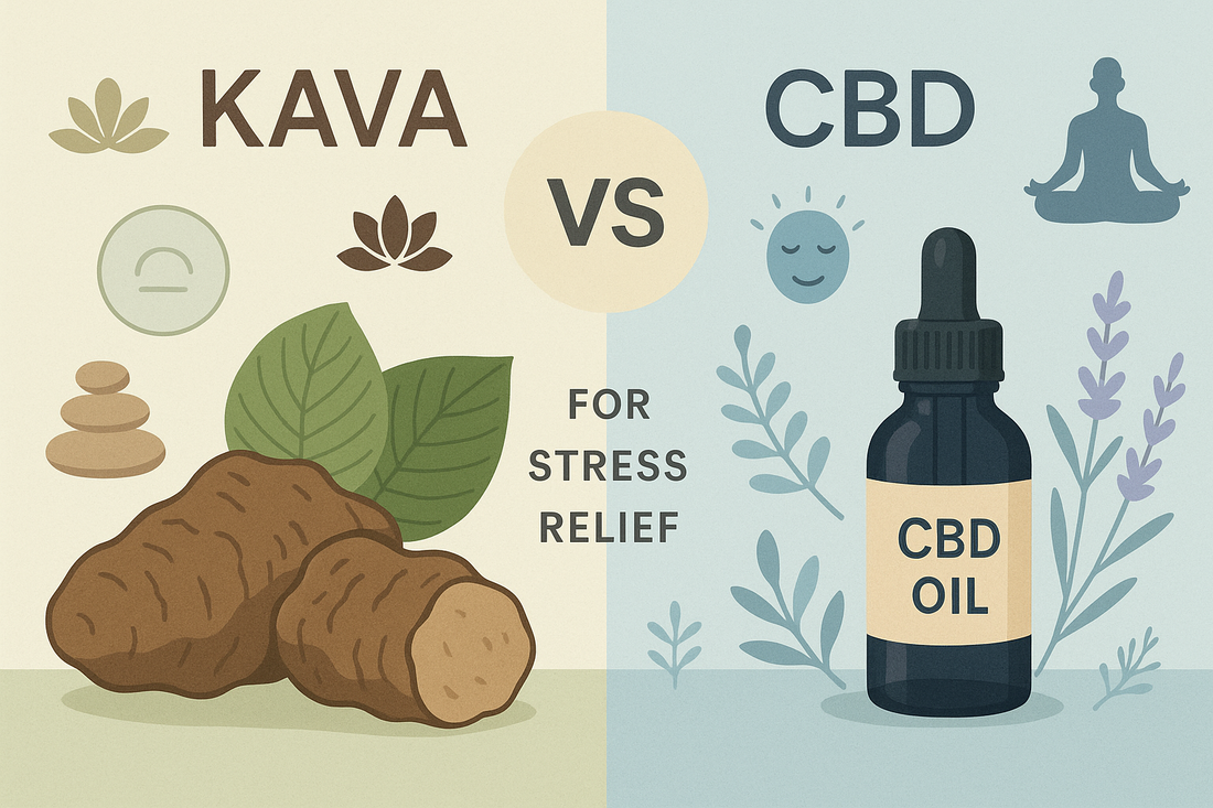 Kava vs. CBD: What’s the Difference in Stress Relief?