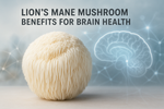 Lion’s Mane Mushroom Benefits: The Smart Way to Support Brain Health