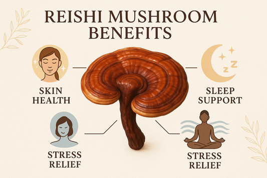 Reishi Mushroom Benefits: Skin, Sleep, and Stress Support Explained