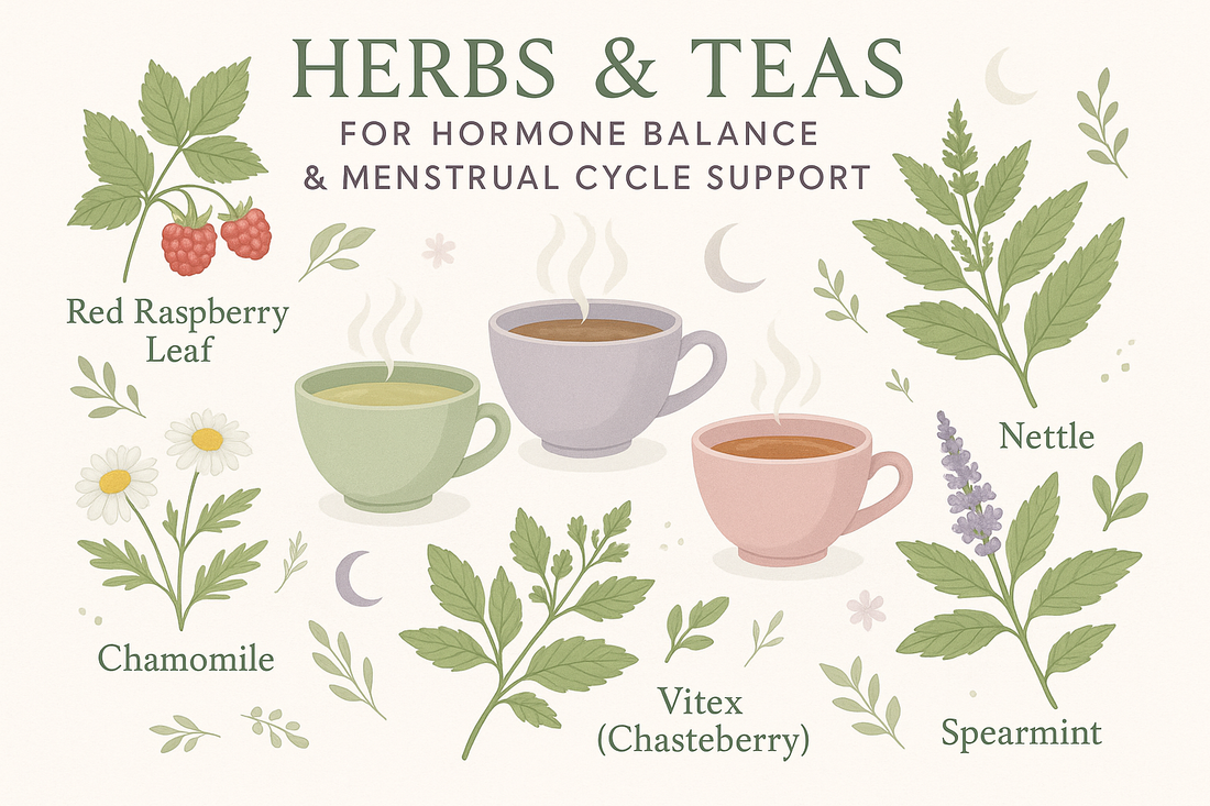 Tea for Hormone Balance: Which Herbs Support Your Cycle?
