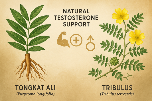 Tongkat Ali vs. Tribulus: Natural Testosterone Support from the Earth