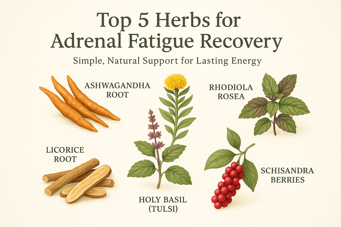 Top 5 Herbs for Adrenal Fatigue Recovery: Simple, Natural Support for Lasting Energy