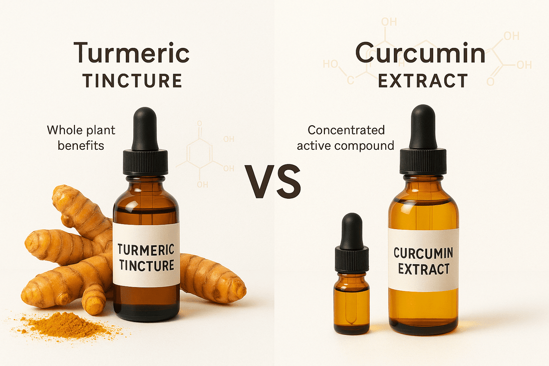 Turmeric vs. Curcumin Tincture: Which Works Better?