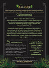 Gynostemma