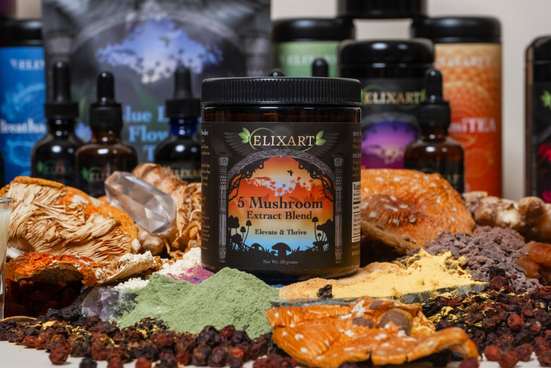 5 Mushroom Blend