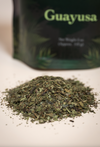 Guayusa